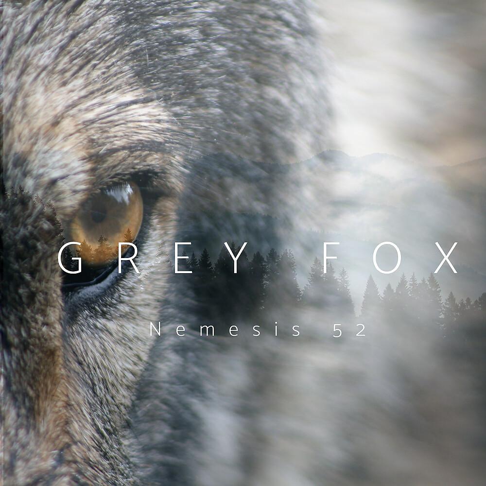 Постер альбома Grey Fox
