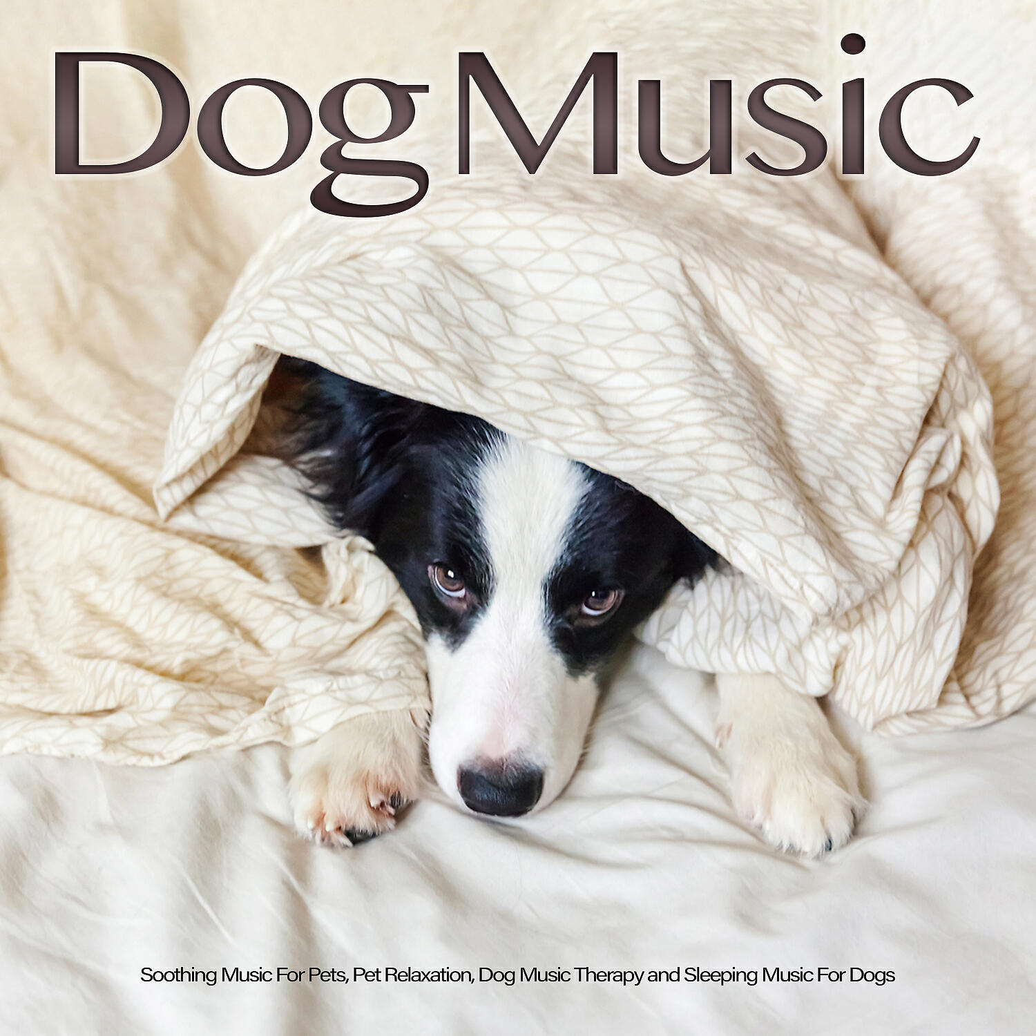 Dog Music - Dog Music