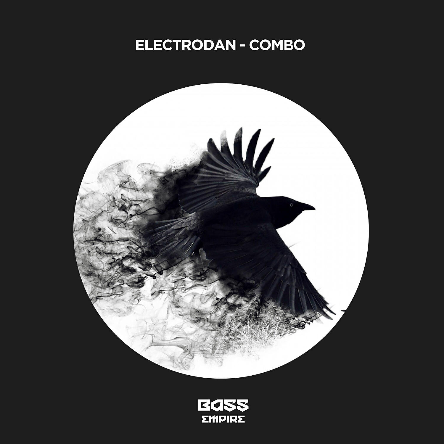 ElectroDan - Combo