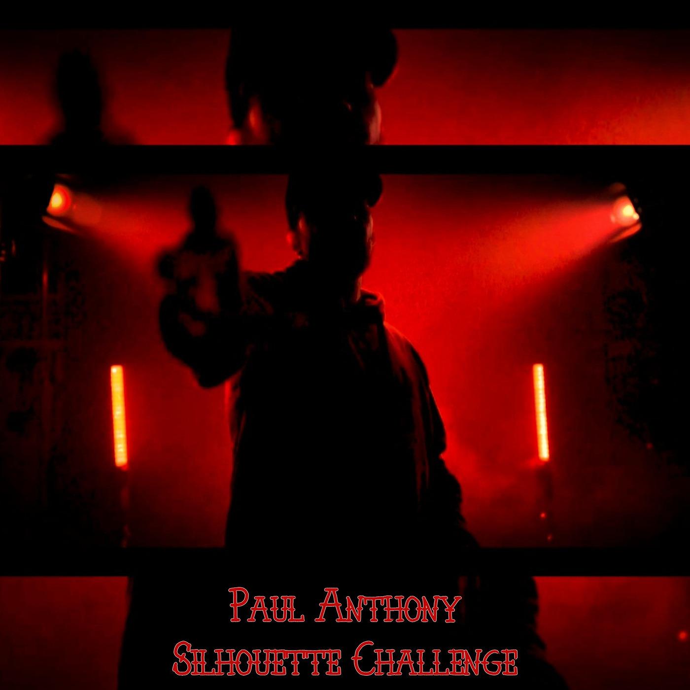 Постер альбома Silhouette Challenge