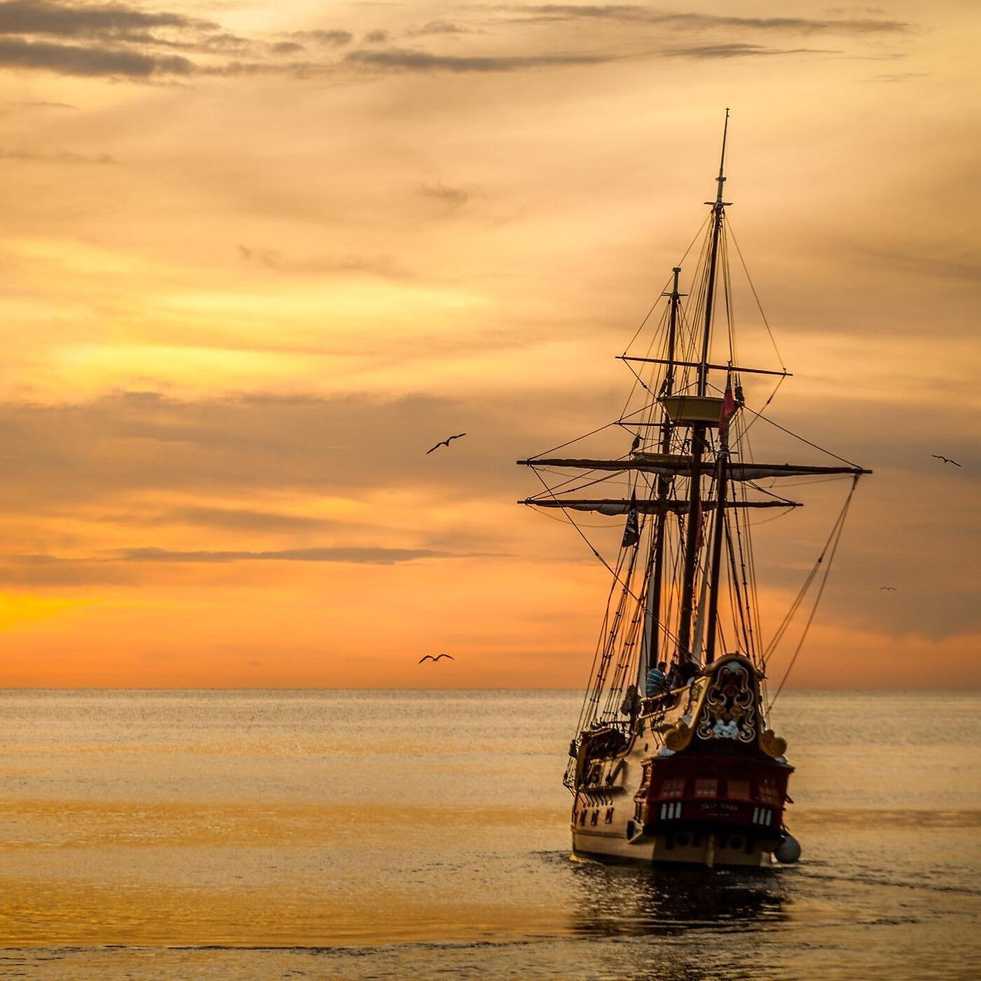 Chris Bohanon - Wellerman Sea Shanty | Epic Orchestral