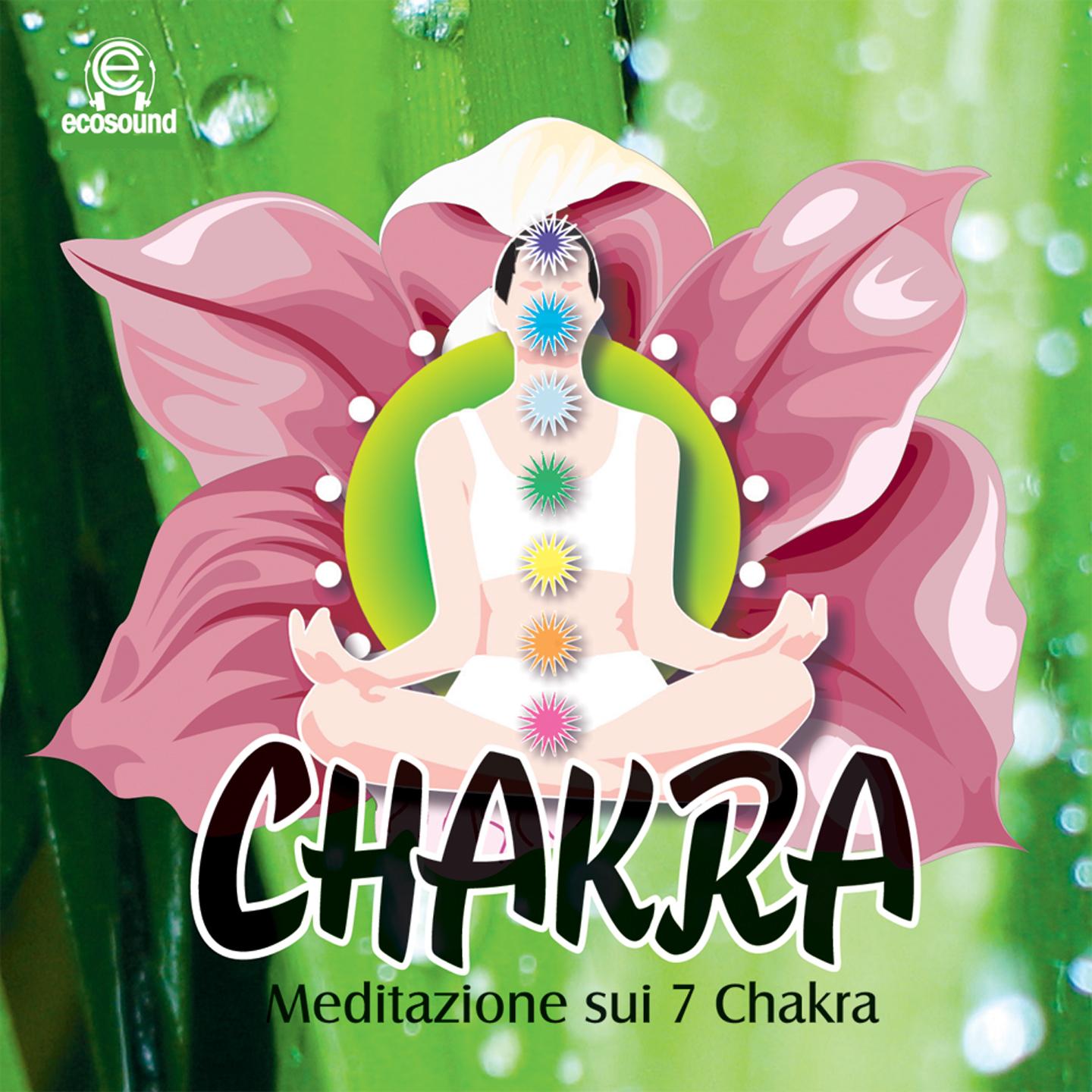 Постер альбома Meditazione sui Sette Chakra