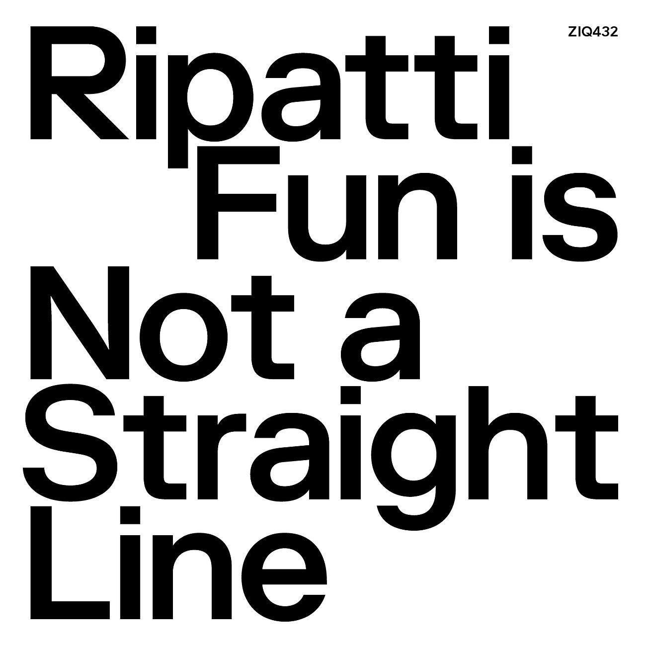 Постер альбома Fun Is Not A Straight Line
