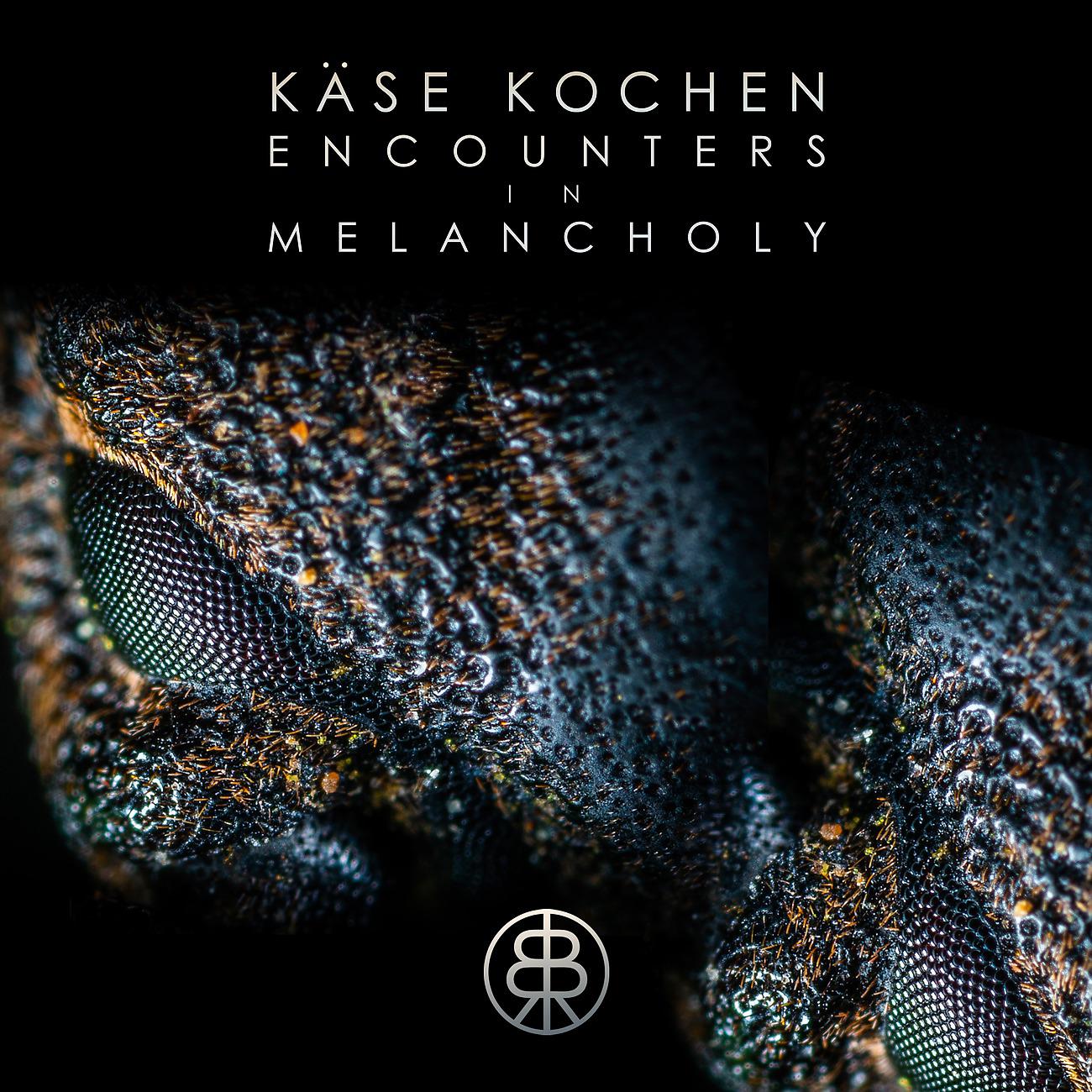 Käse Kochen - Asteroid in Orbit