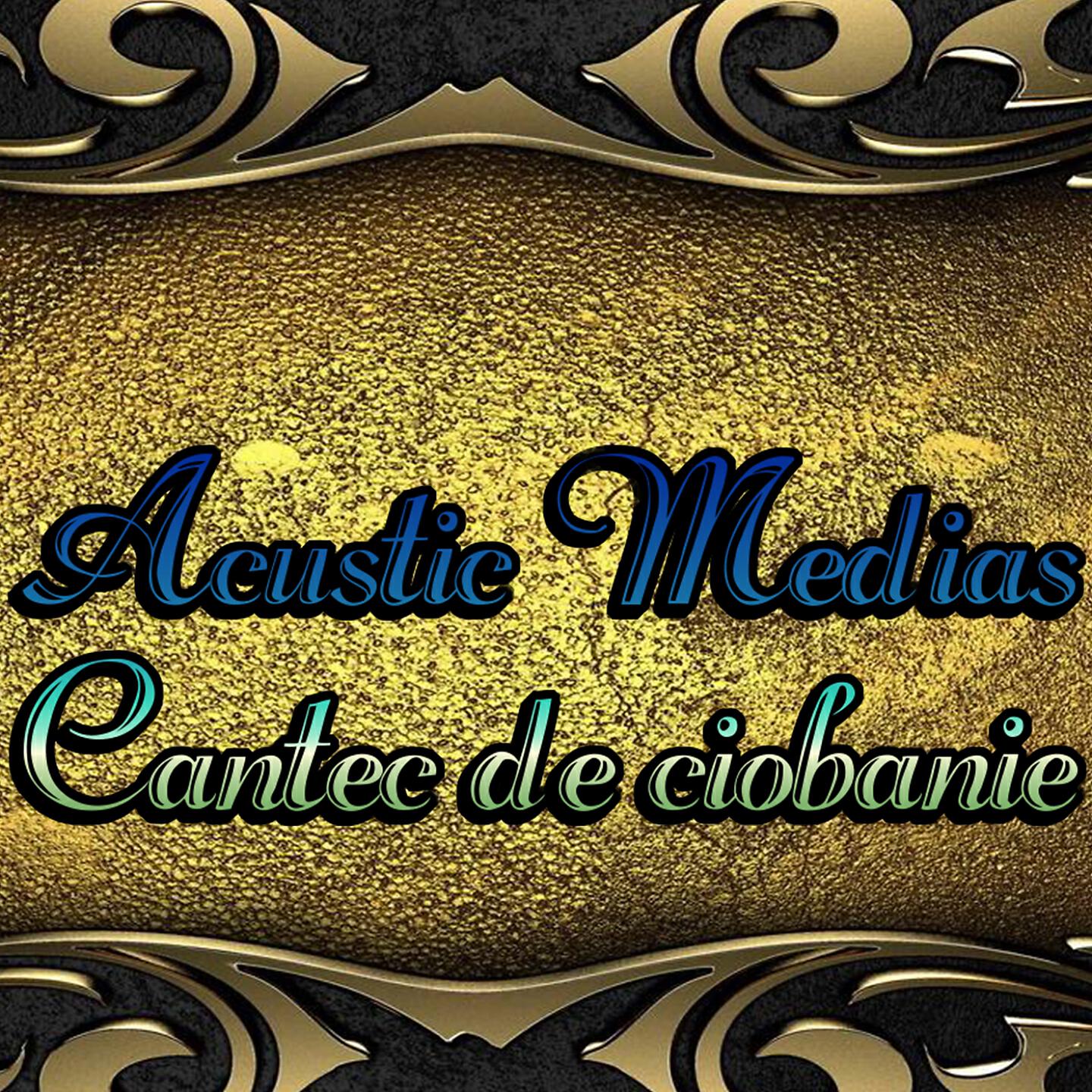 ACUSTIC MEDIAS - Medias