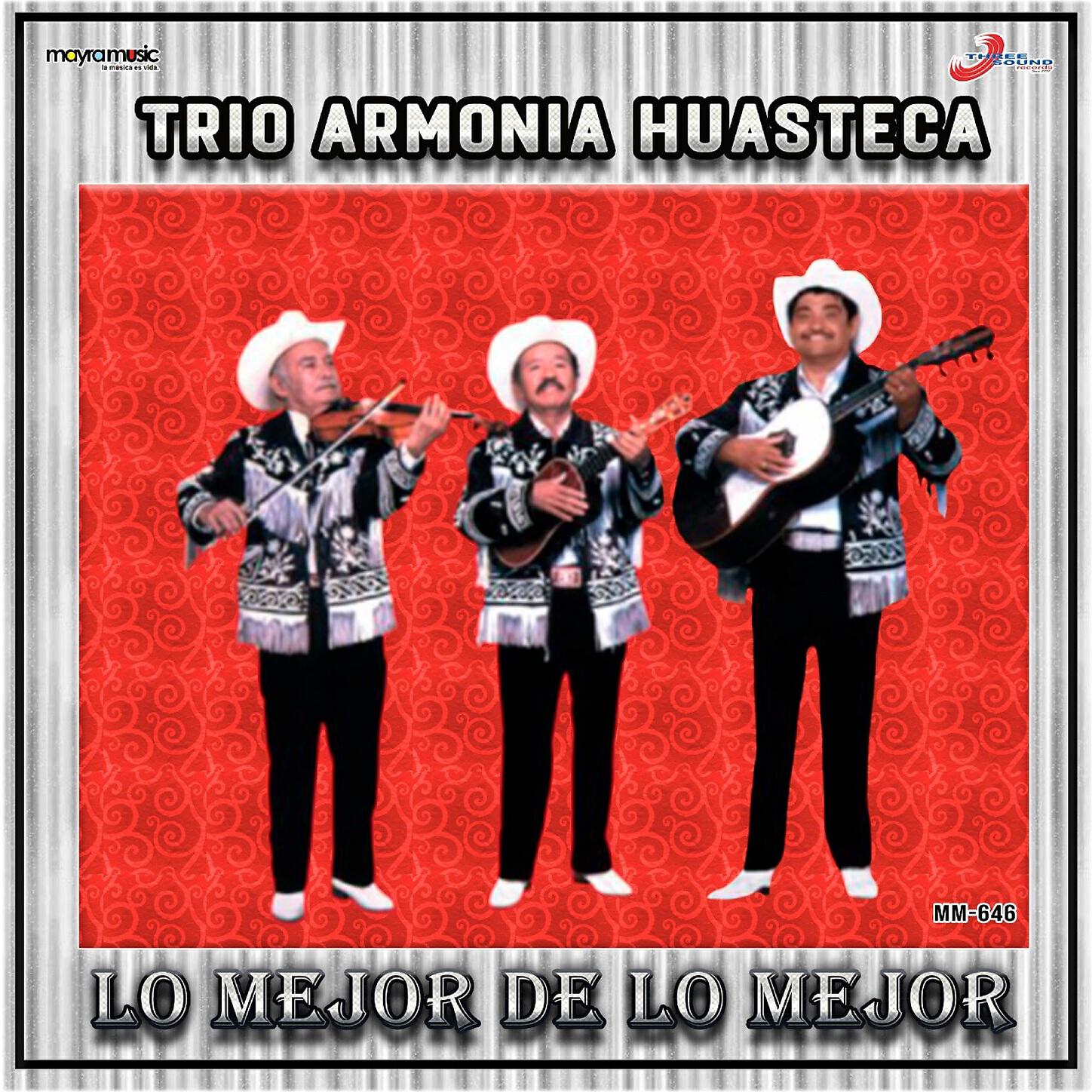 Trio Armonia Huastecá - El Agua Nieve