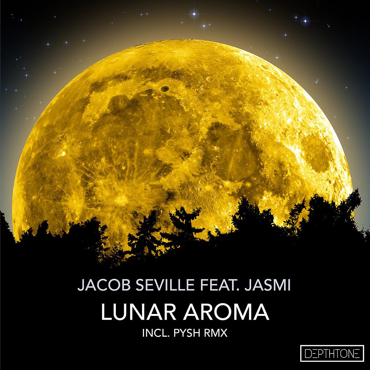 Постер альбома Lunar Aroma