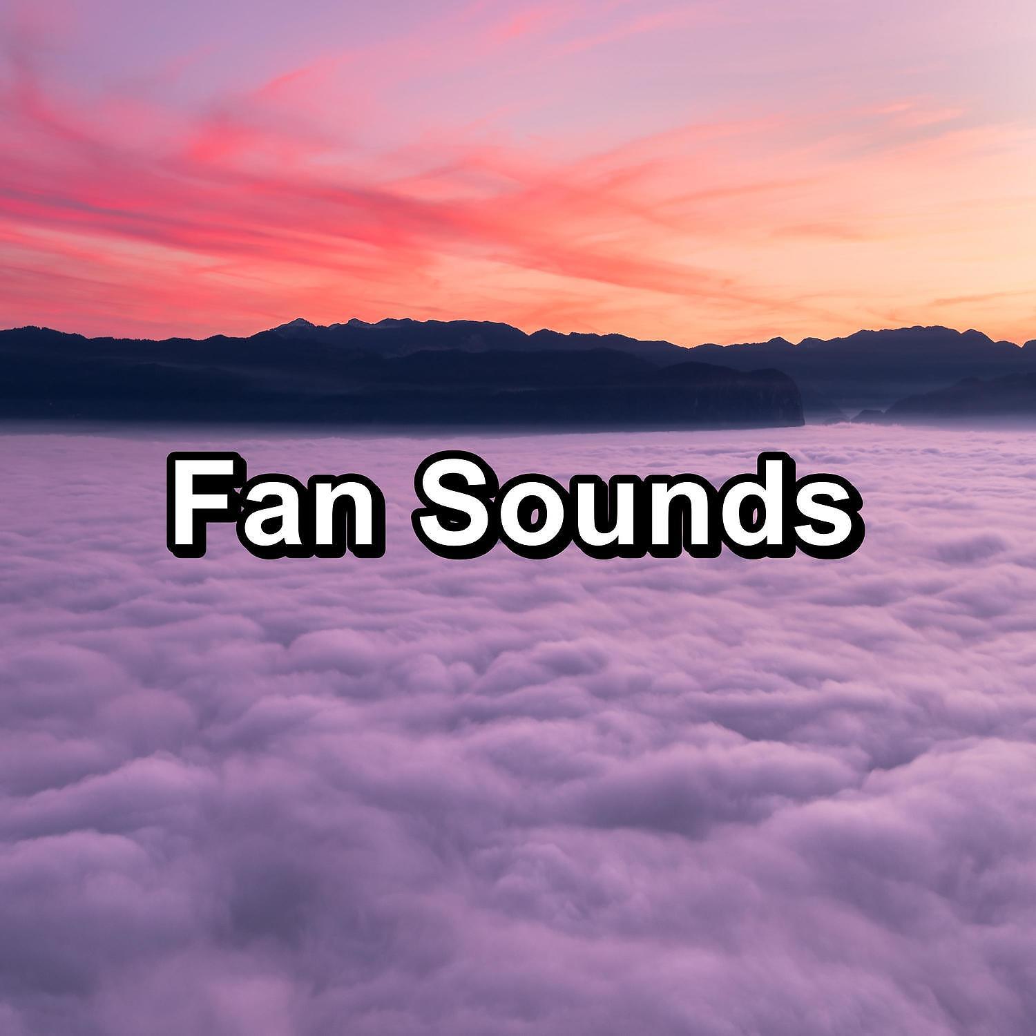 Постер альбома Fan Sounds