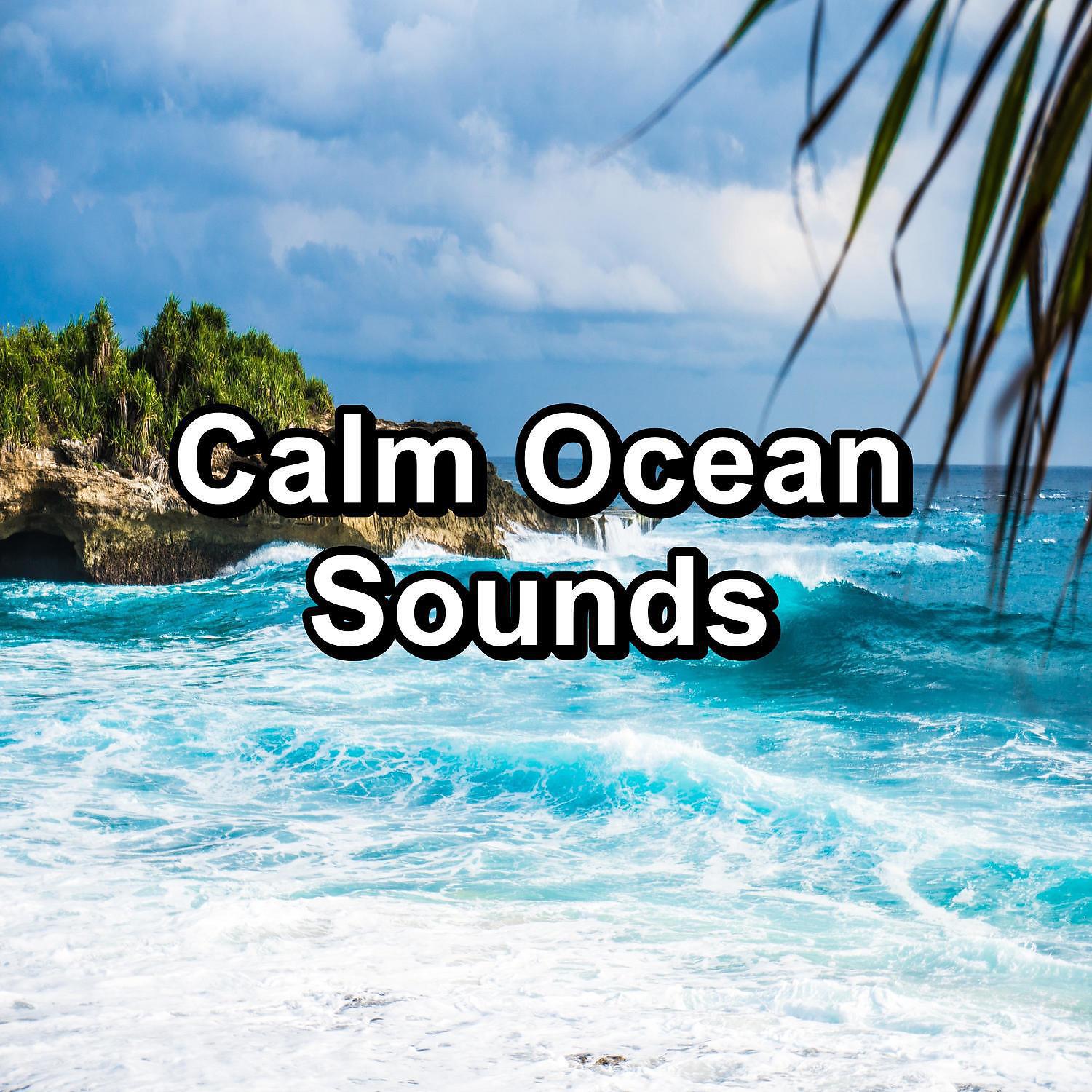 Nature Sounds - Wave Sounds The Best Water Sounds For Taking a Nap