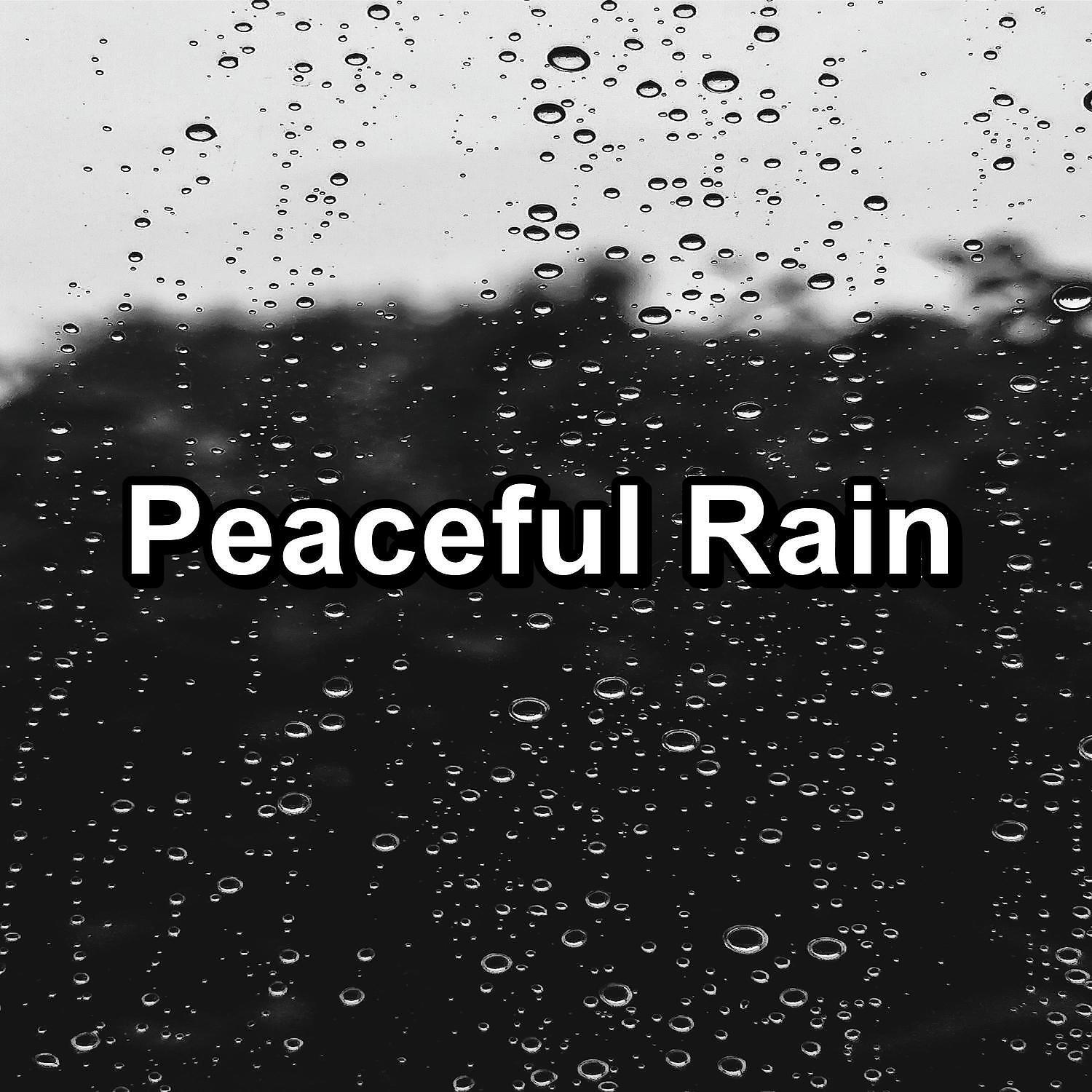 Nature Sound Collection - Summer Rain and Nature Sounds Relaxing and Loopable for a 10 Hours Sleep