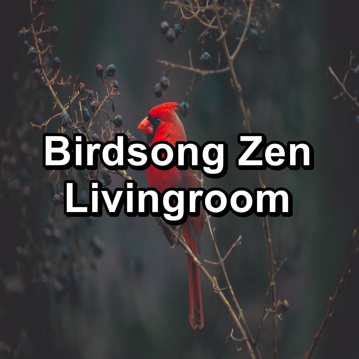 Nature and Rain - Beautiful Bird Sounds For a Cozy Living Room Peaceful For Meditation