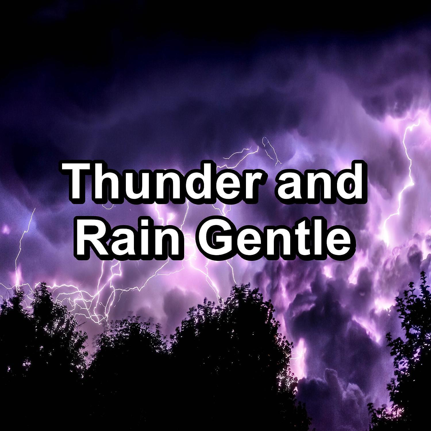 Постер альбома Thunder and Rain Gentle