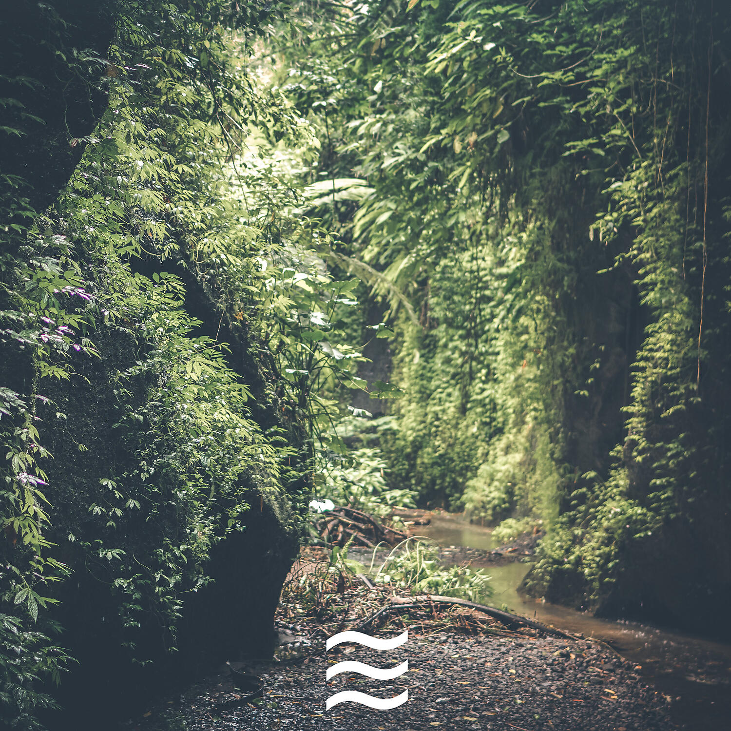 Sleepful Ambient of Soothing Rain Noises - Dreamful Raining for Sleep Well