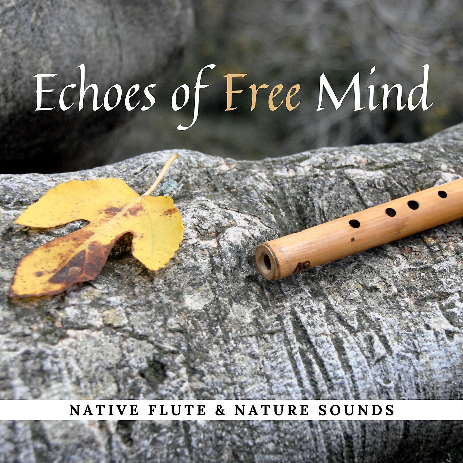 Relaxing Flute Music Zone - To Know Thyself