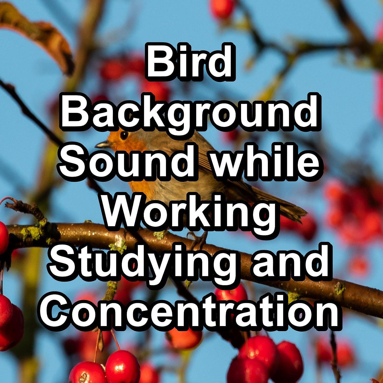 Baby Sleep Music - Beautiful Bird Sounds For Deep Sleep To Help Your Baby Relax