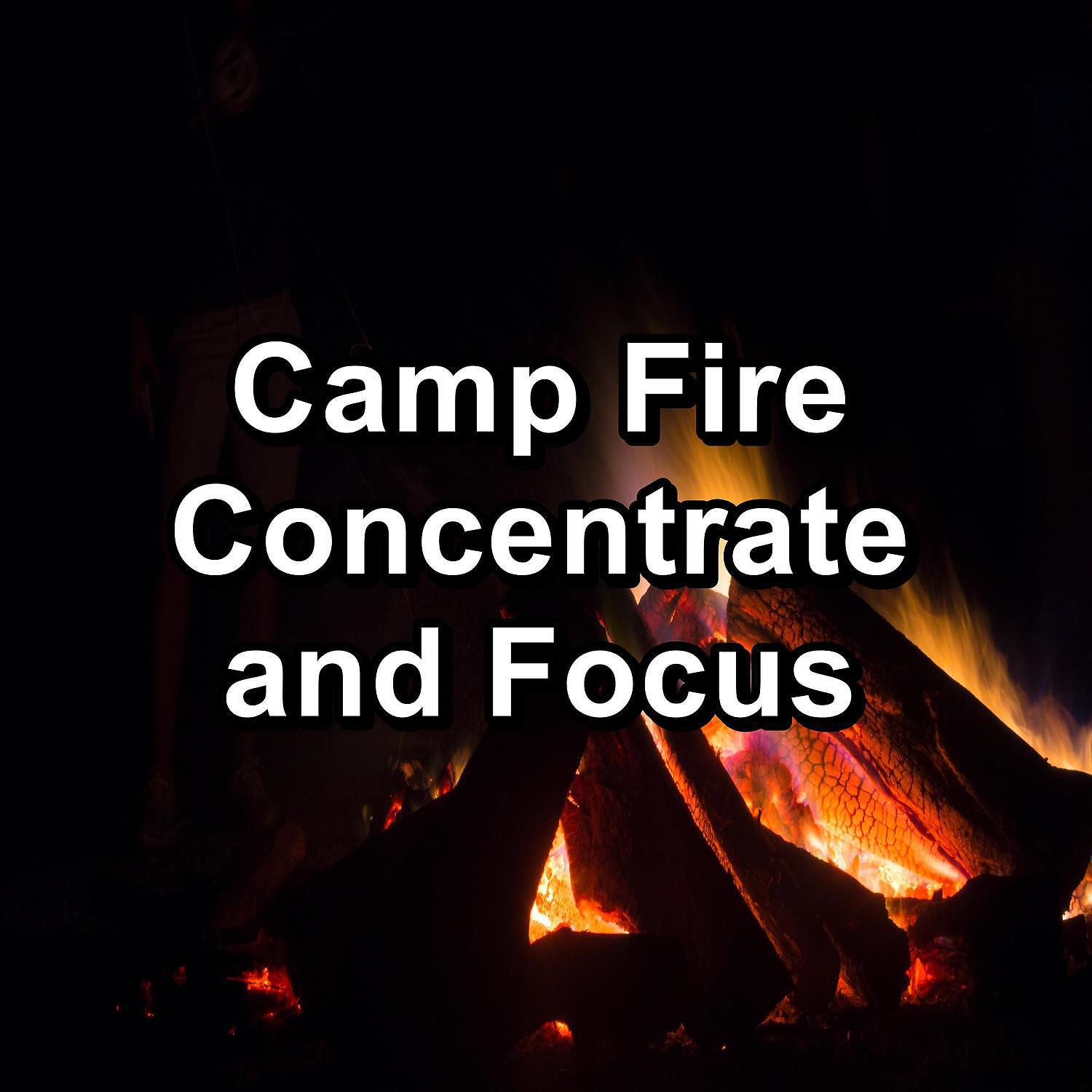 Постер альбома Camp Fire Concentrate and Focus