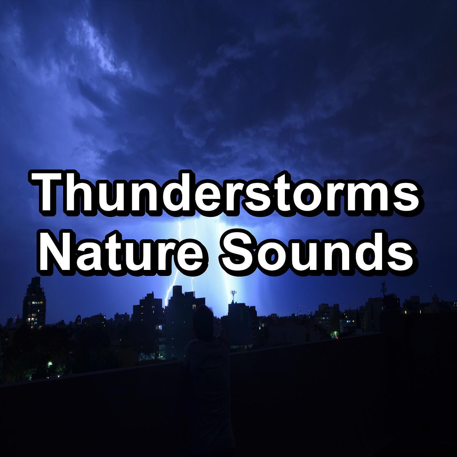 Rest & Relax Nature Sounds Artists - Quiet Rain Anti Stress To Help Your Baby Sleep