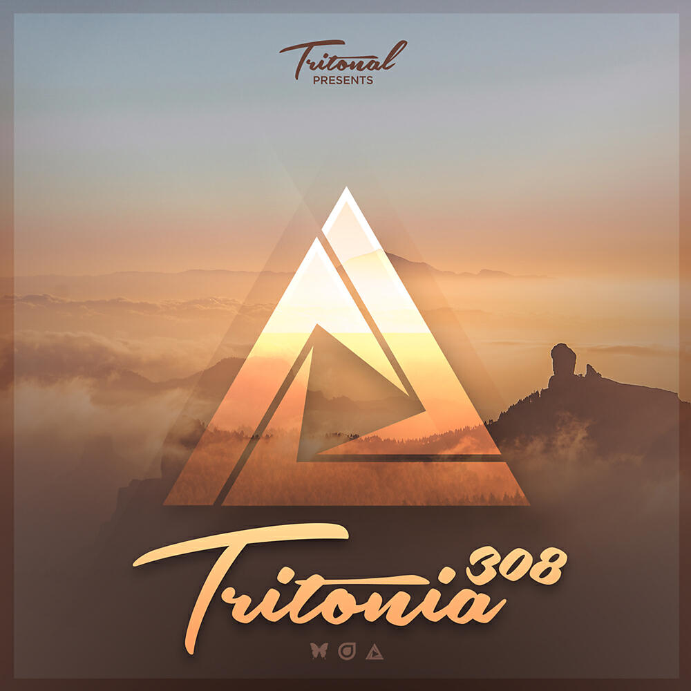 Ben Böhmer - In Memoriam (Tritonia 308) (Tim Green Remix)