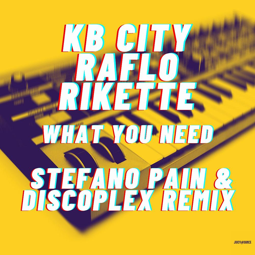 Постер альбома What you need (Stefano Pain & Discoplex Remix)