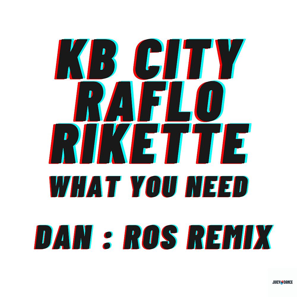 Постер альбома What you need (Dan:Ros Remix)
