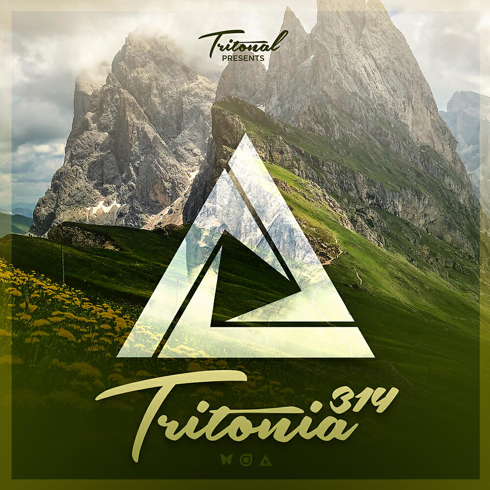 Andrew Rayel - Everything Everything (Tritonia 314) (Original Mix)