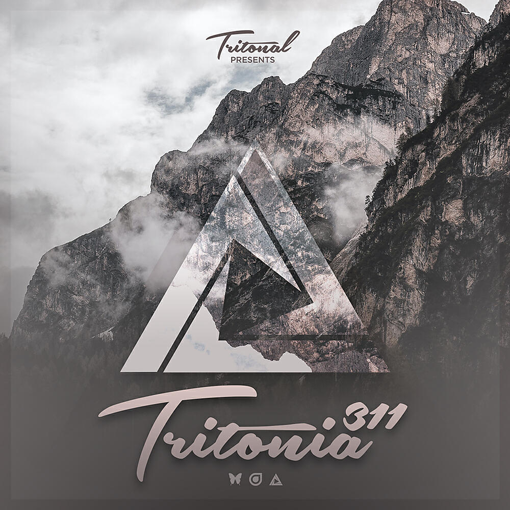 Protoculture - Shine (Tritonia 311) (Original Mix)