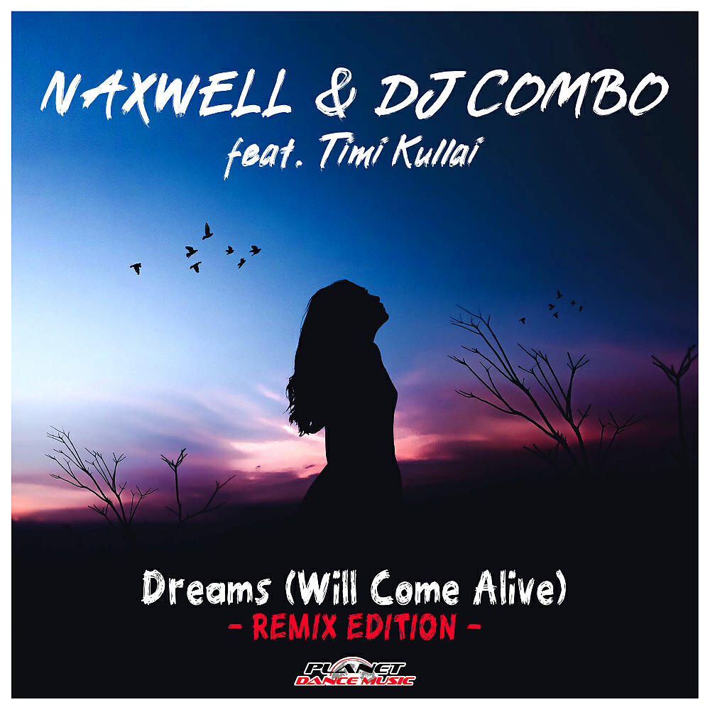 NaXwell - Dreams (Will Come Alive) (Rico Bernasconi & Tom Belmond Instrumental Edit)