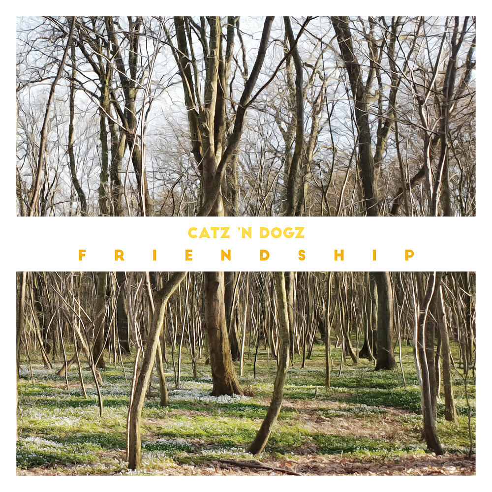 Catz 'n Dogz - New Love (Original Mix)