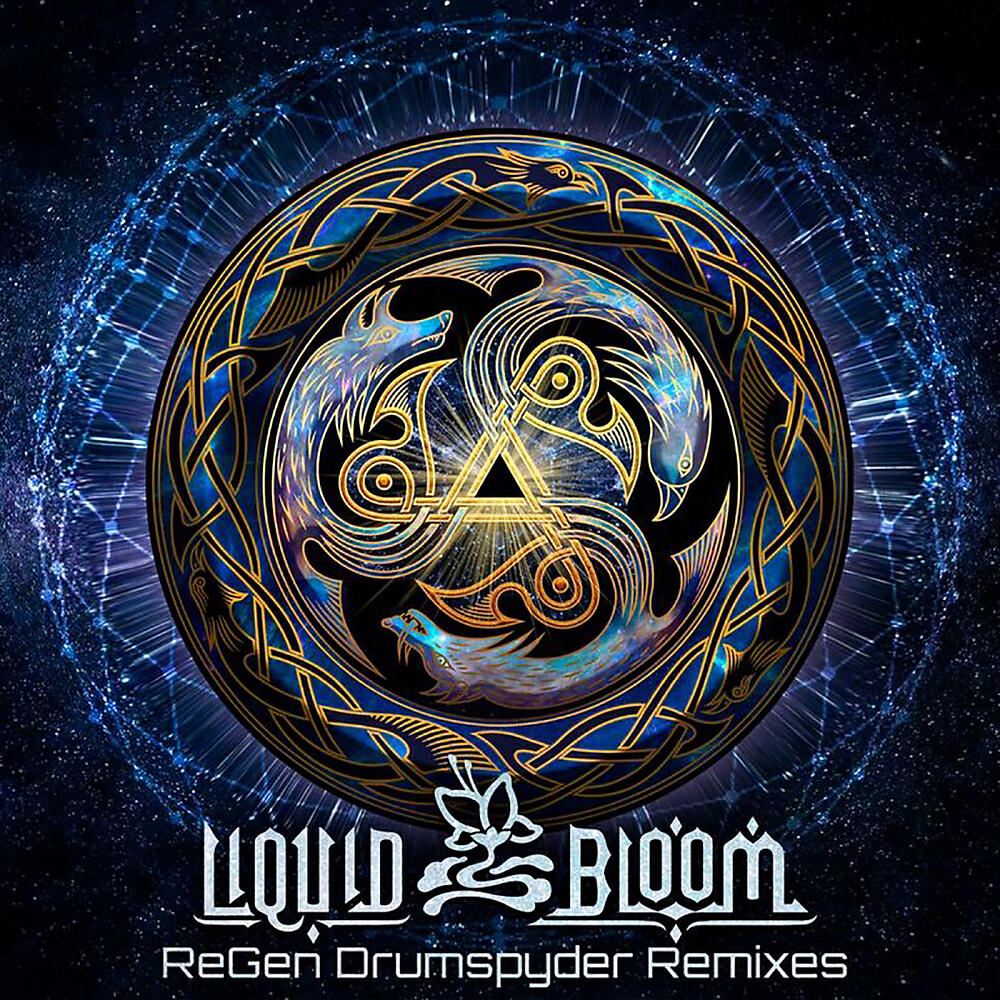 Liquid Bloom - Jaguar Dreaming (Drumspyder Remix)