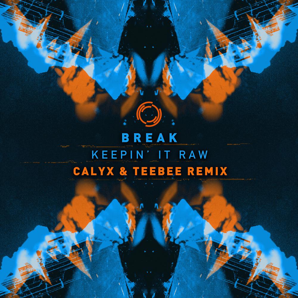Постер альбома Keepin It Raw (Calyx & Teebee Remix)