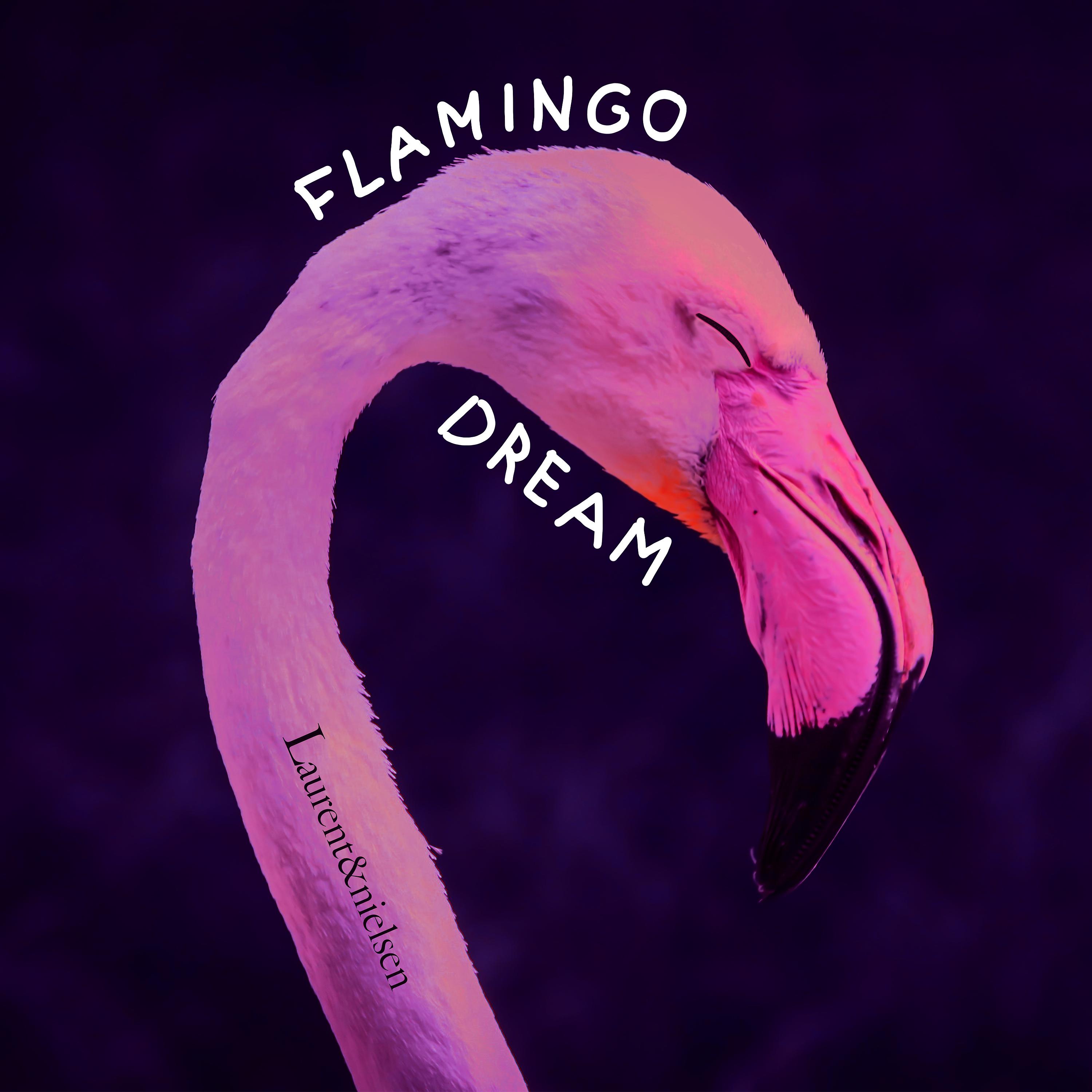 Постер альбома Flamingo Dance