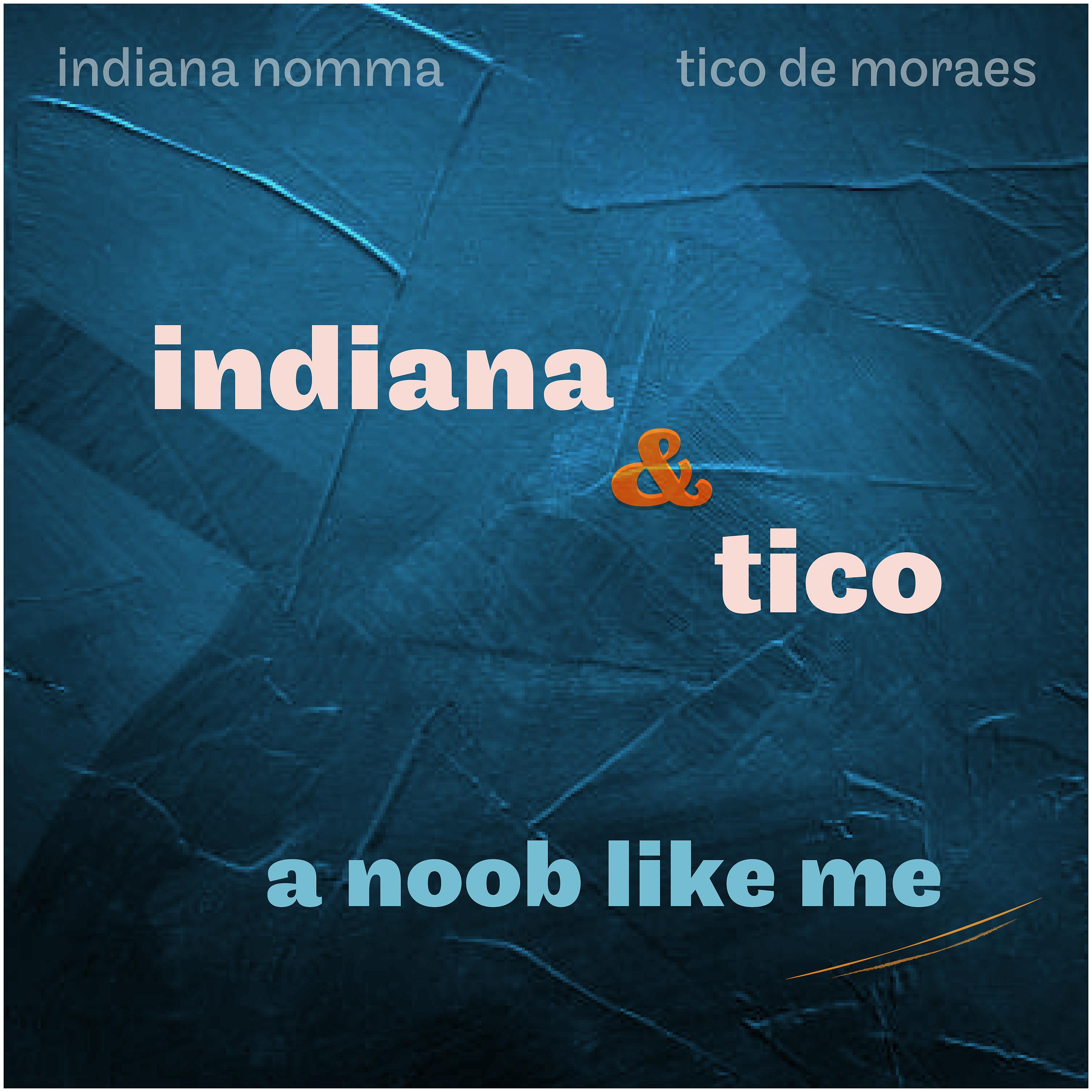 Постер альбома Indiana & Tico: A Noob Like Me