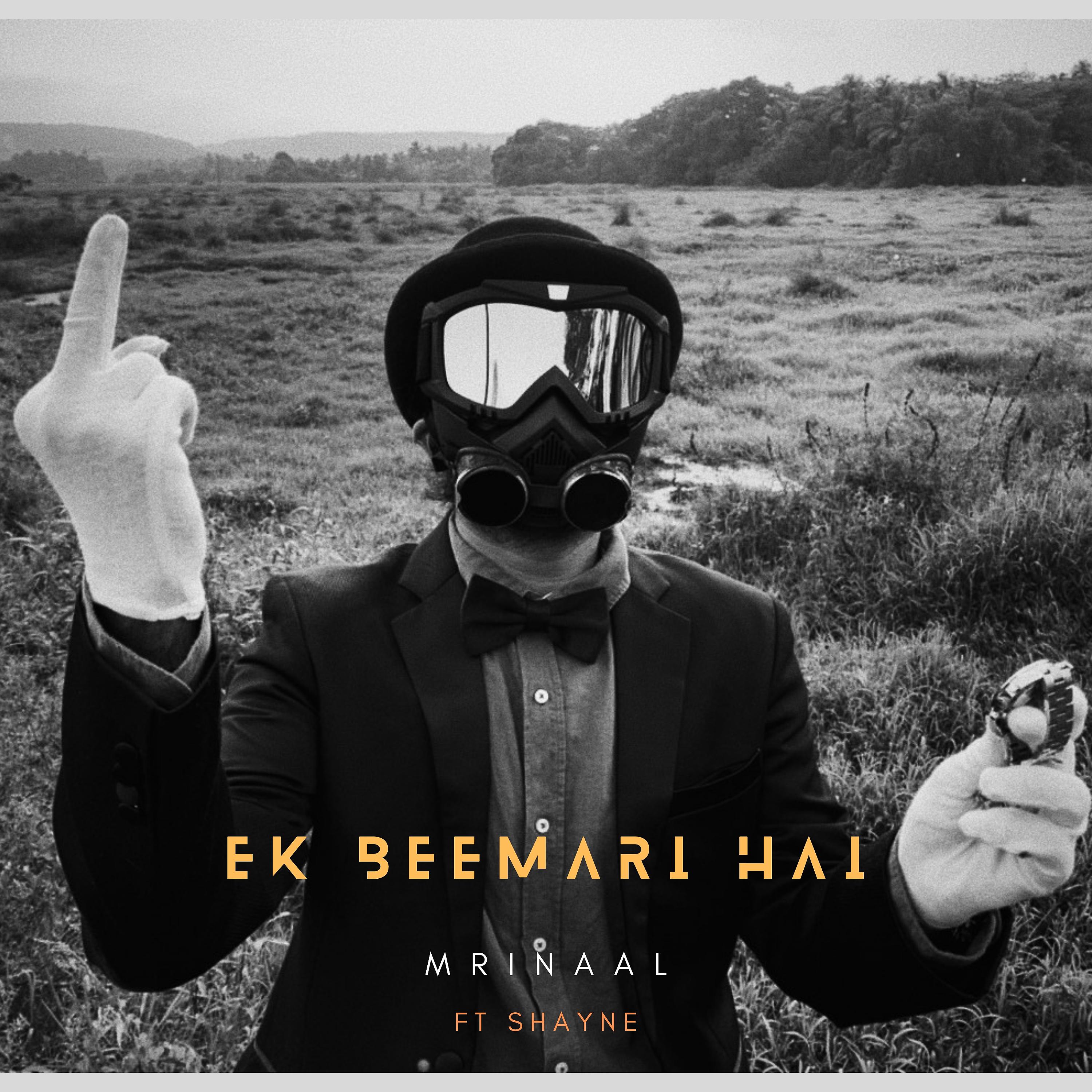 Постер альбома Ek Beemari Hai