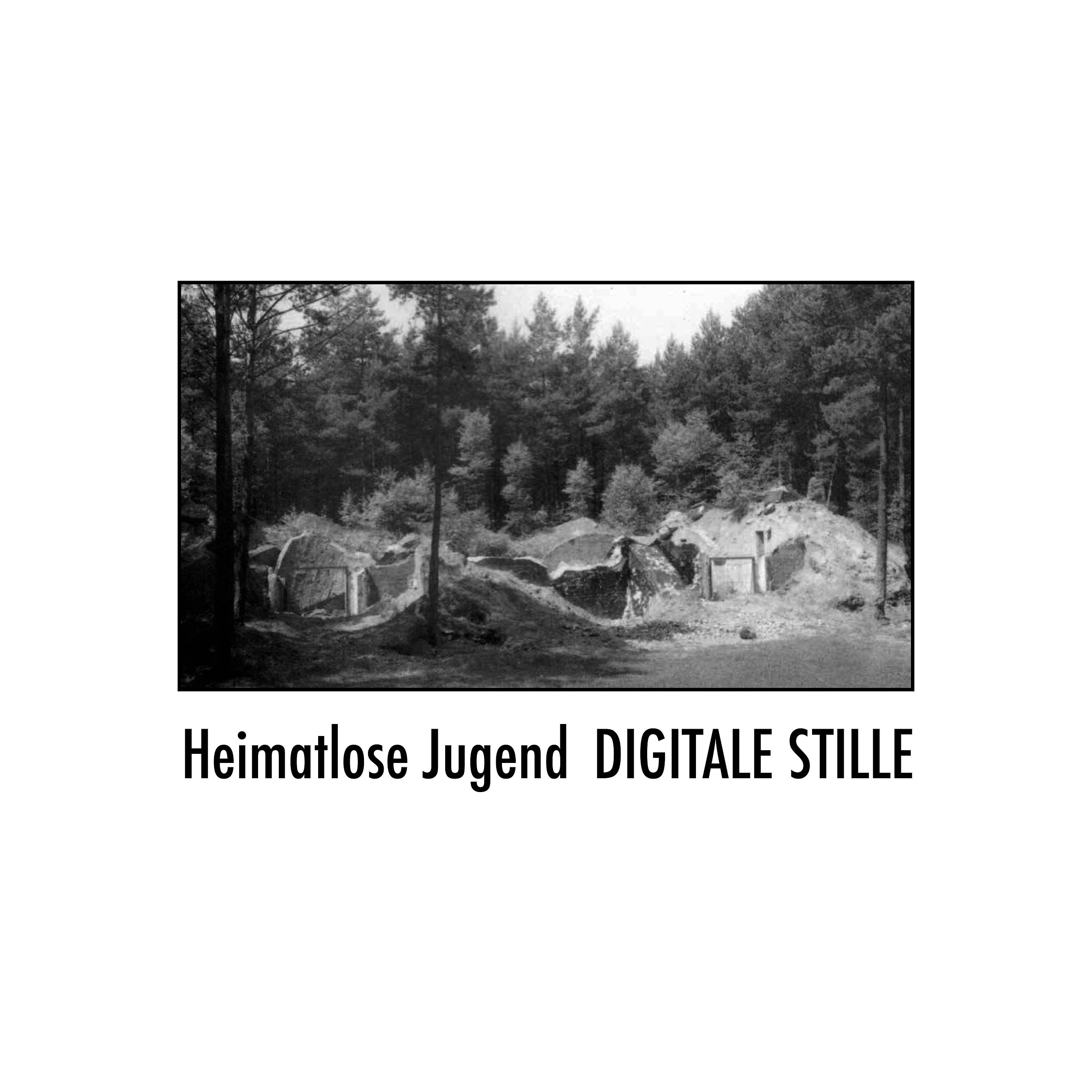 Постер альбома Digitale Stille