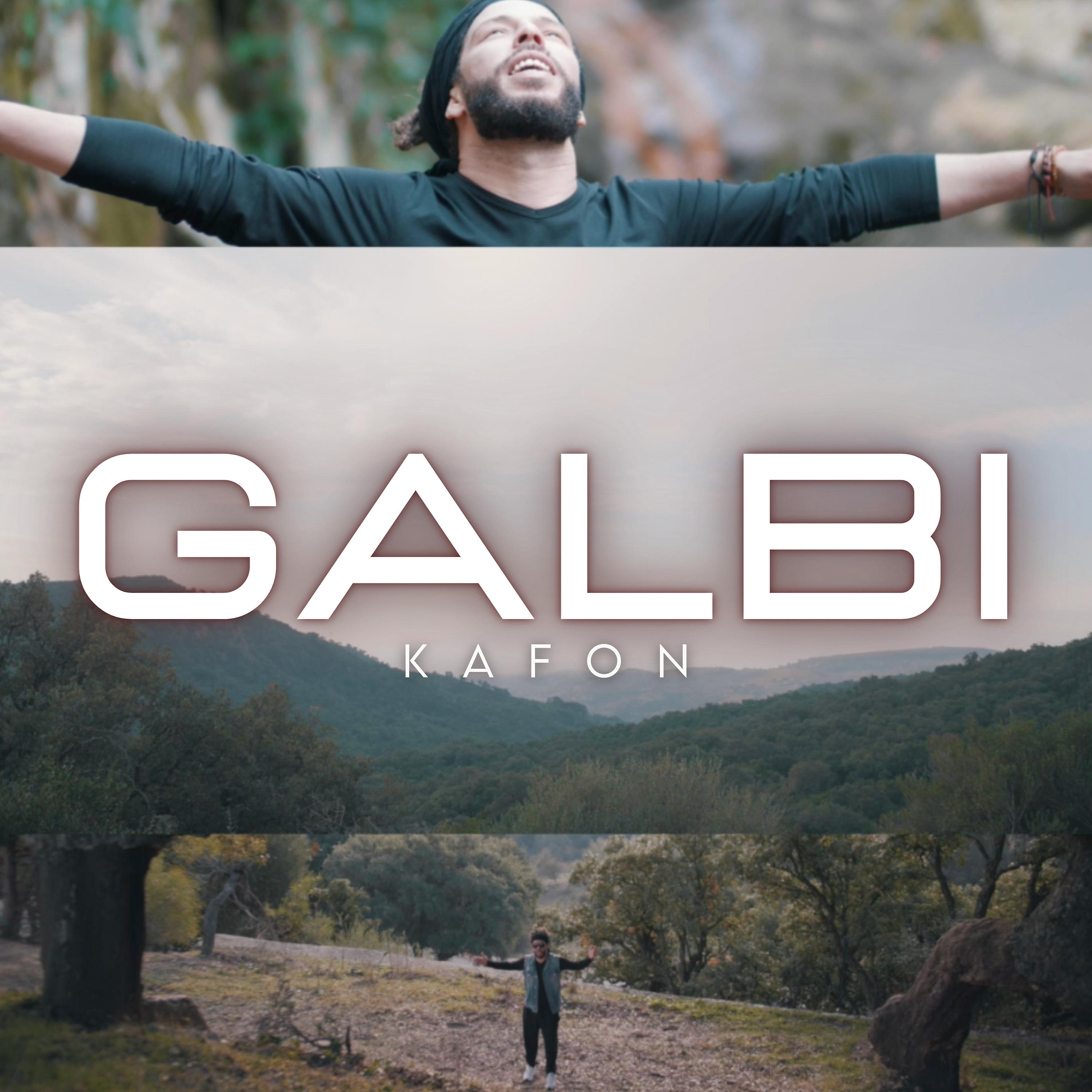 Постер альбома Galbi