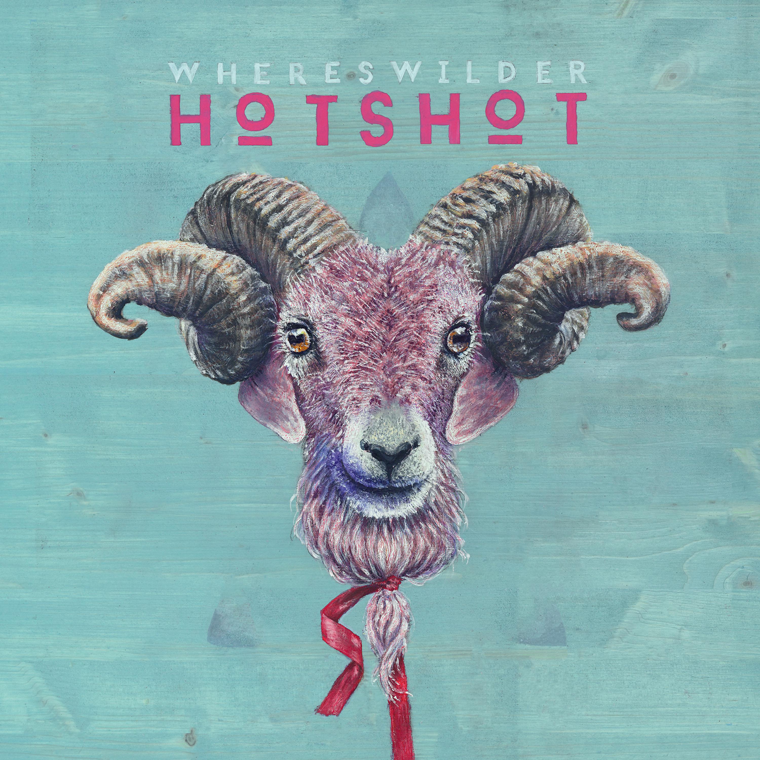 Постер альбома Hotshot