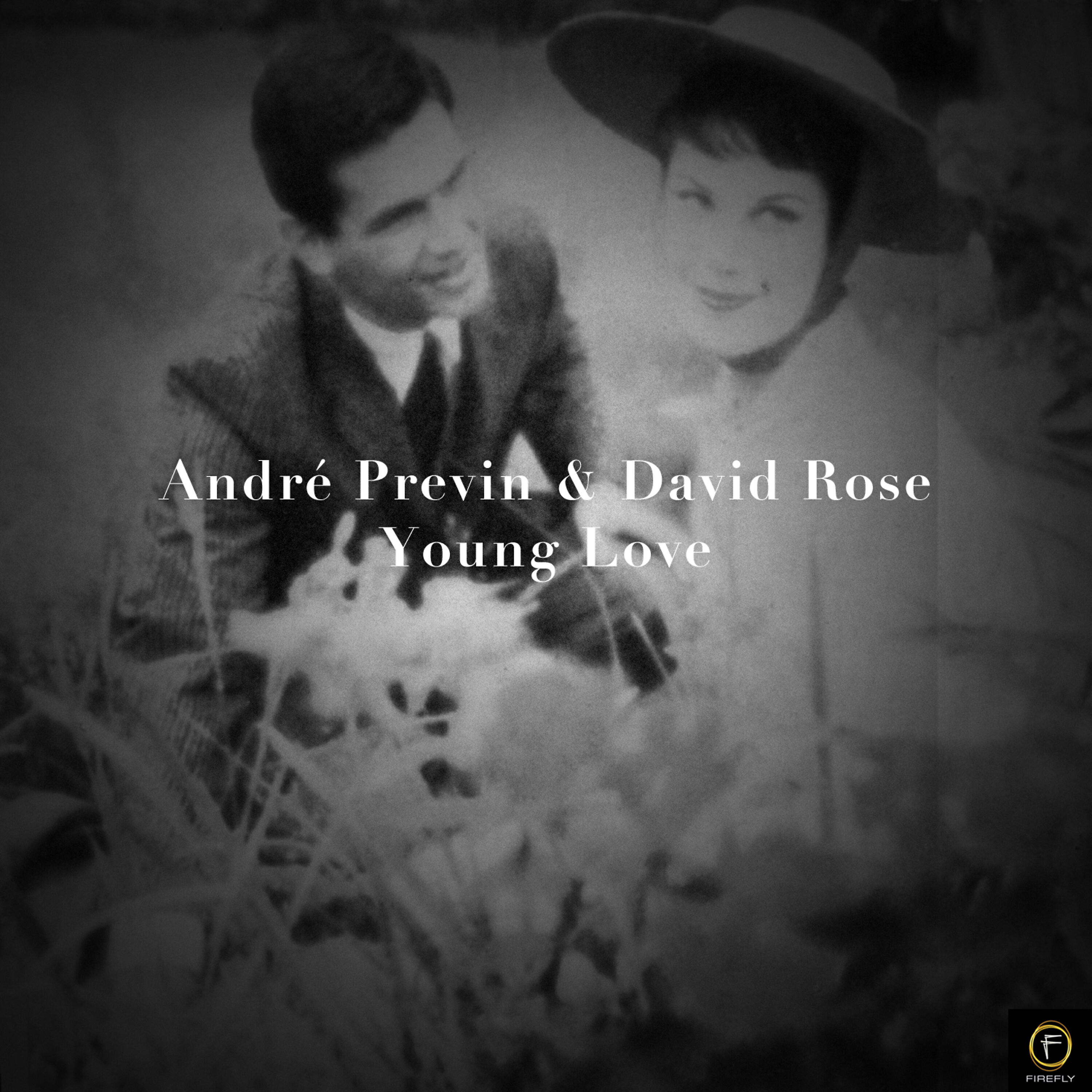 Andre Previn - While We're Young
