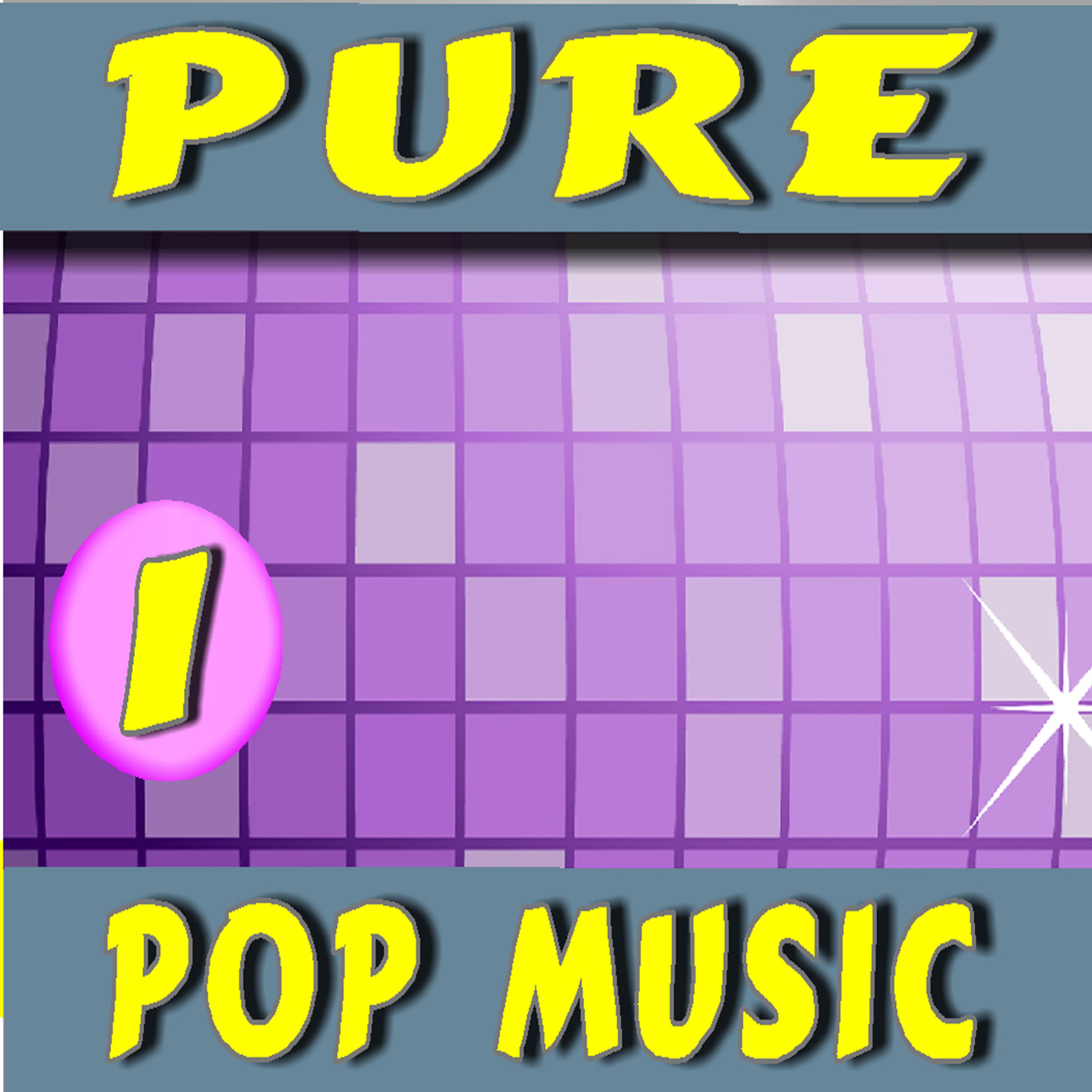 Постер альбома Pure Pop Music, Vol. 1 (Special Edition)