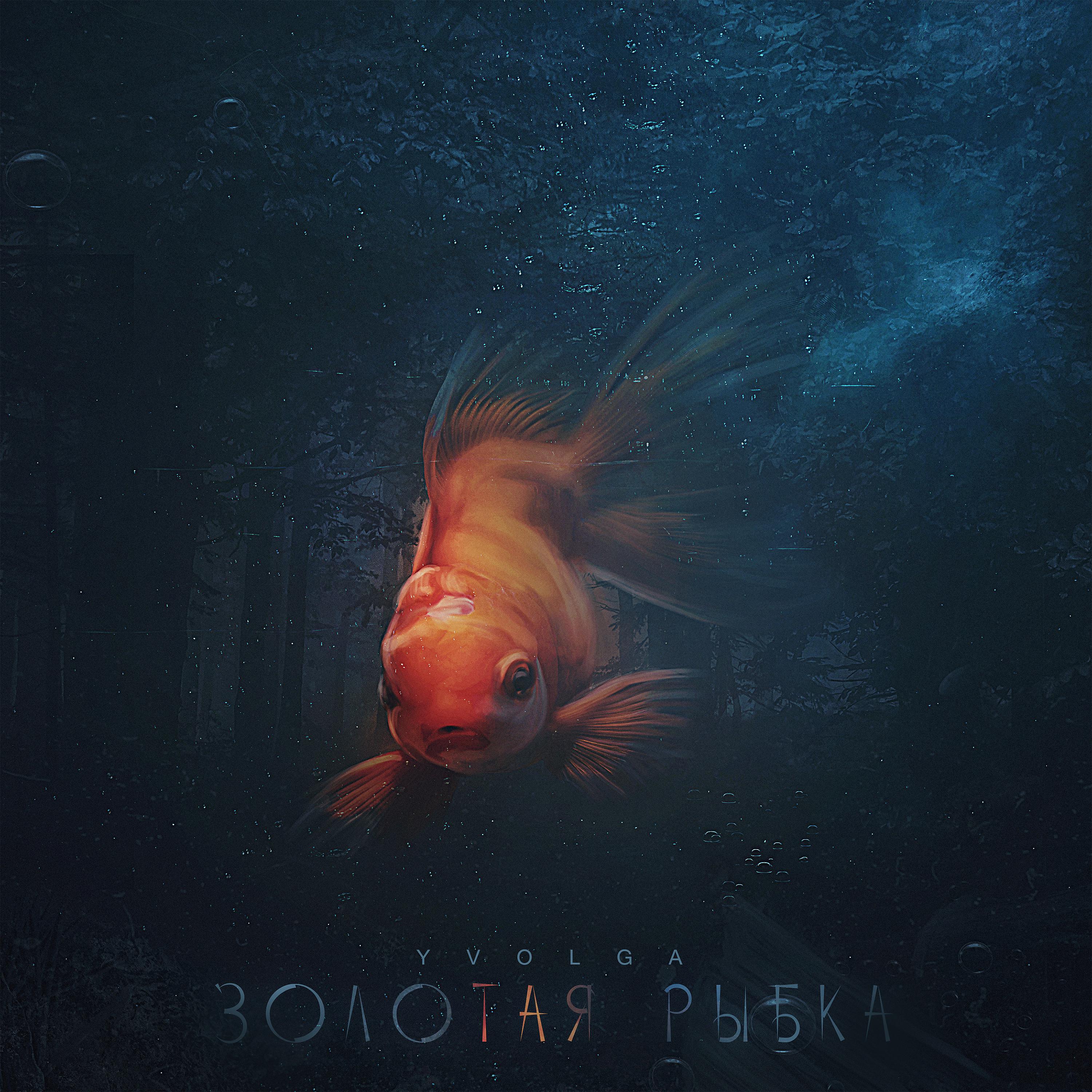 Постер альбома Золотая Рыбка
