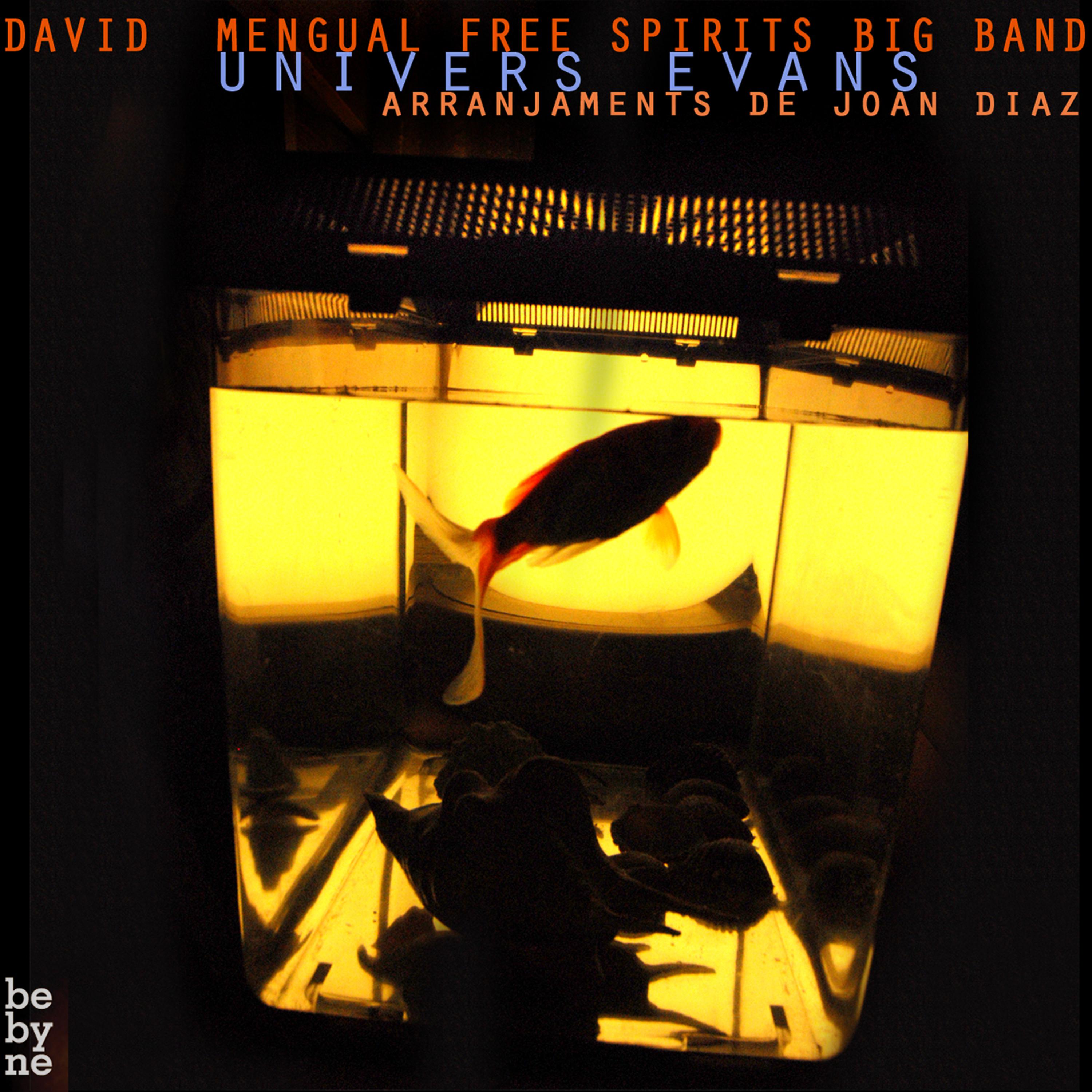 Постер альбома Univers Evans