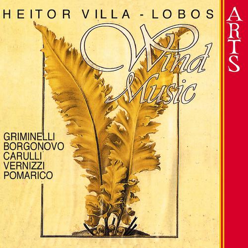 Rino Vernizzi - Bachiana brasileira No. 6 for Flute and Bassoon: Aria - Chôro
