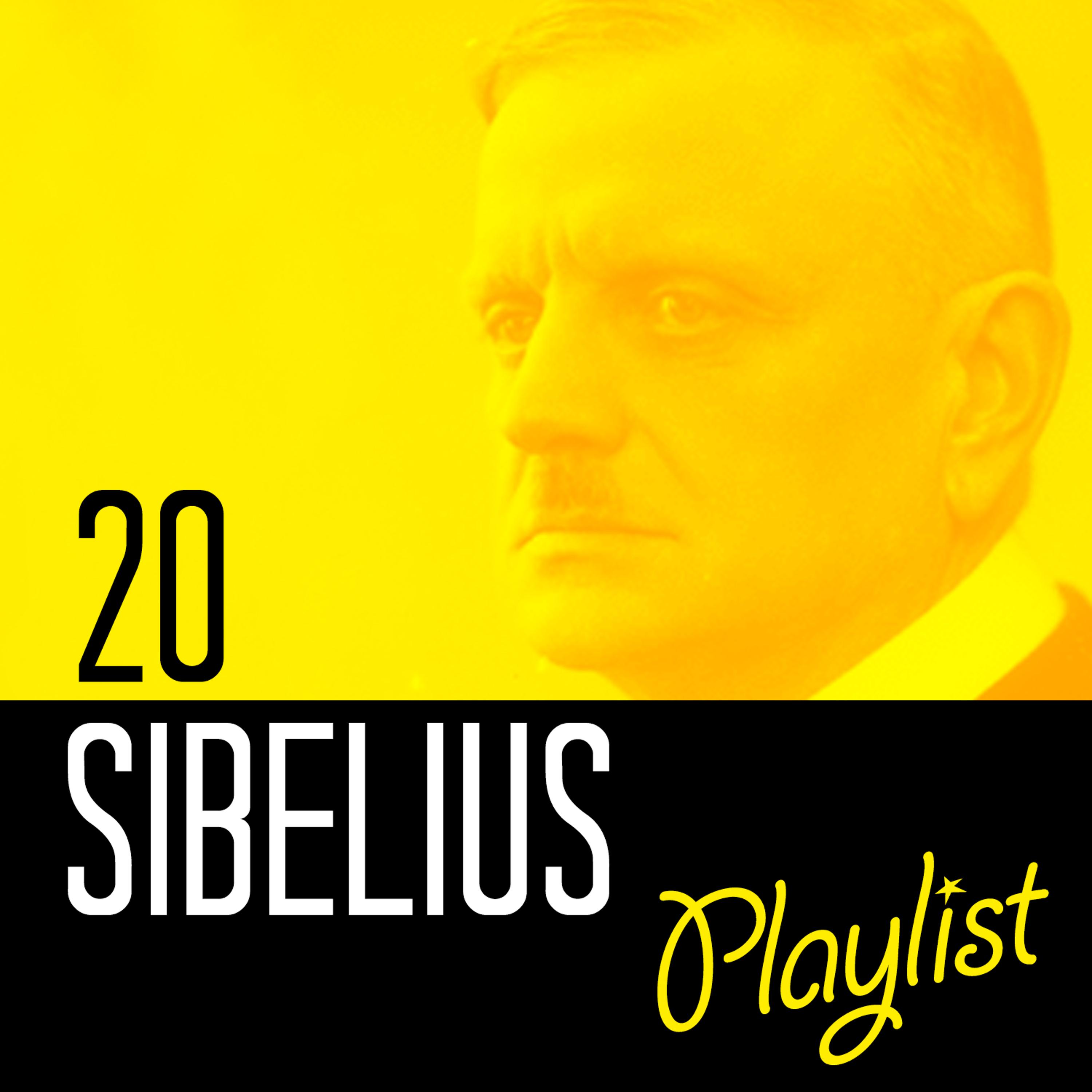 Постер альбома 20 Sibelius Playlist