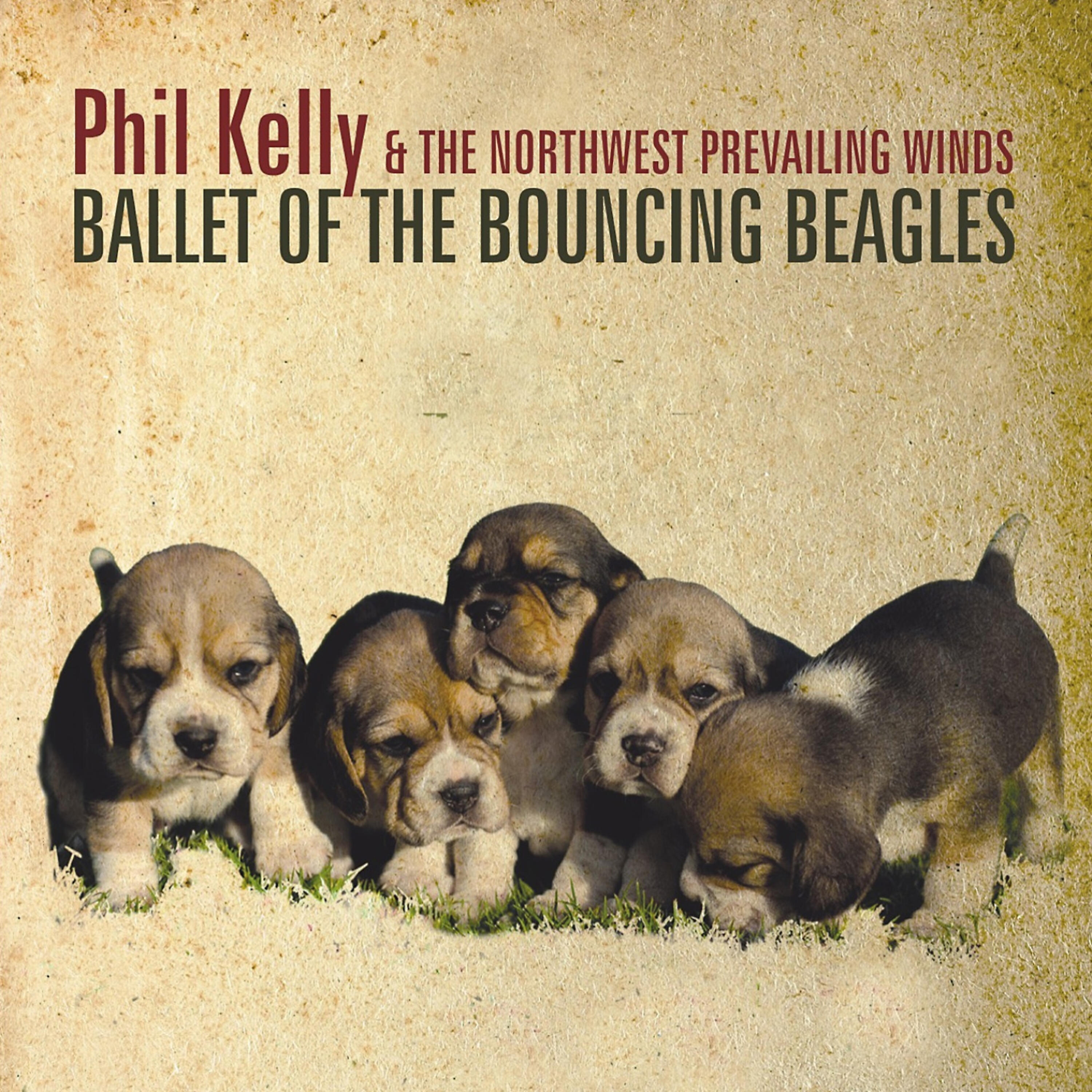 Phil Kelly - B D Bunz