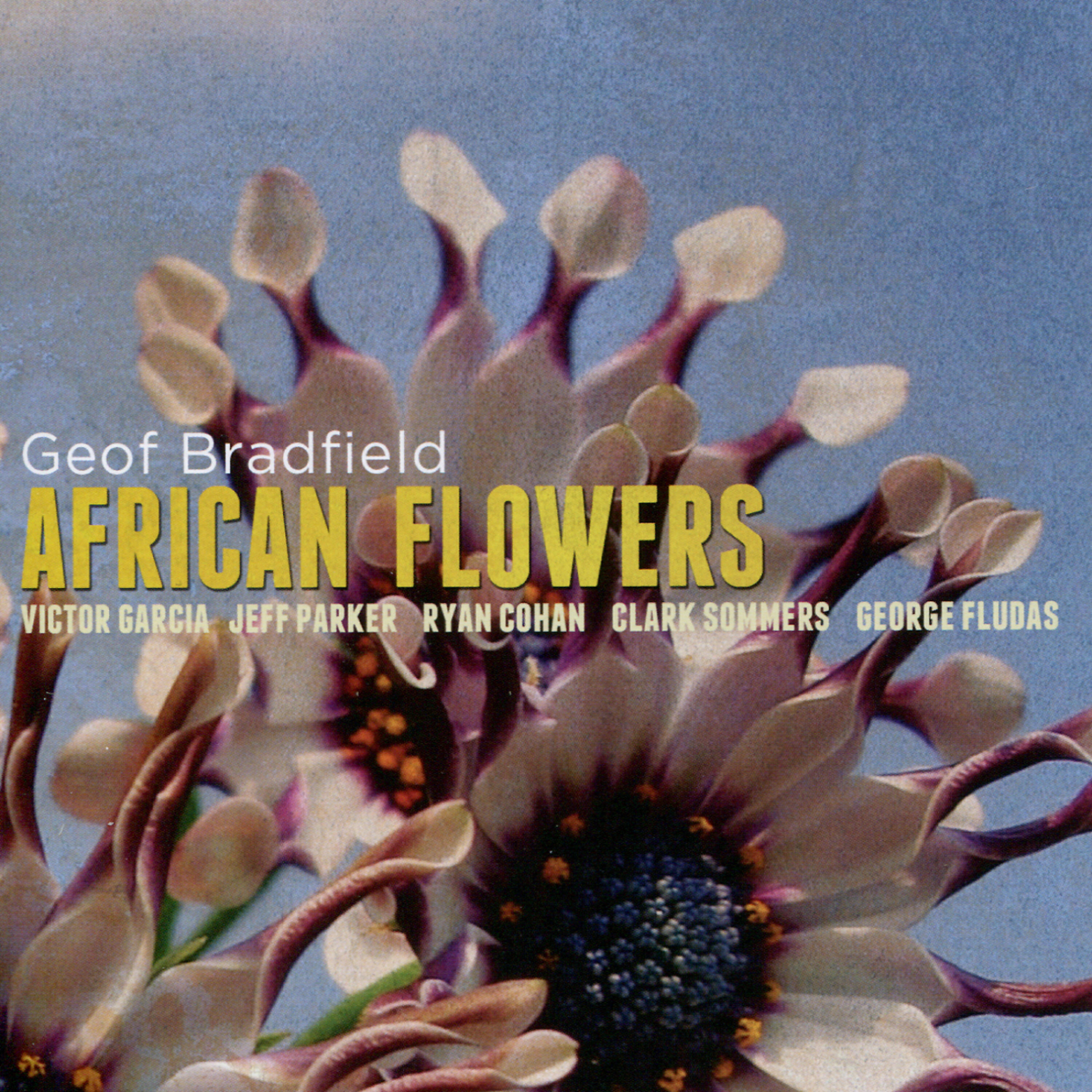 Geof Bradfield - Mama Yemo