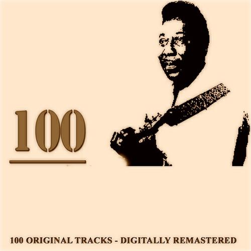 Muddy Waters - I Wanna Put a Tiger in Your Tank (Live)