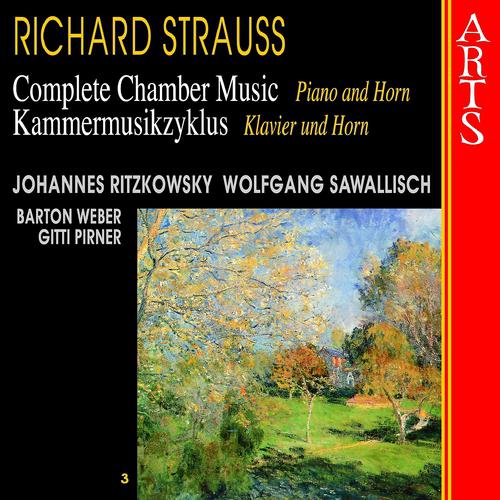 Постер альбома Strauss: Complete Chamber Music, Vol. 3