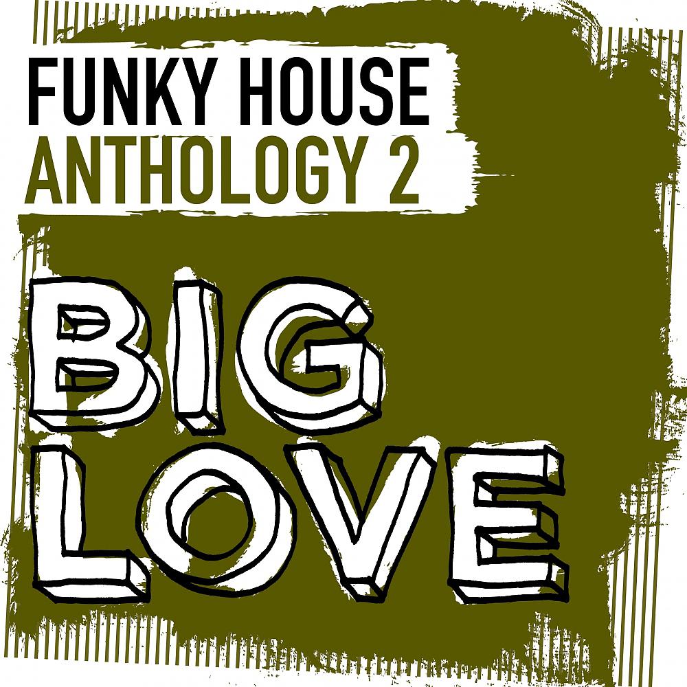 Постер альбома Big Love Funky House Anthology 2