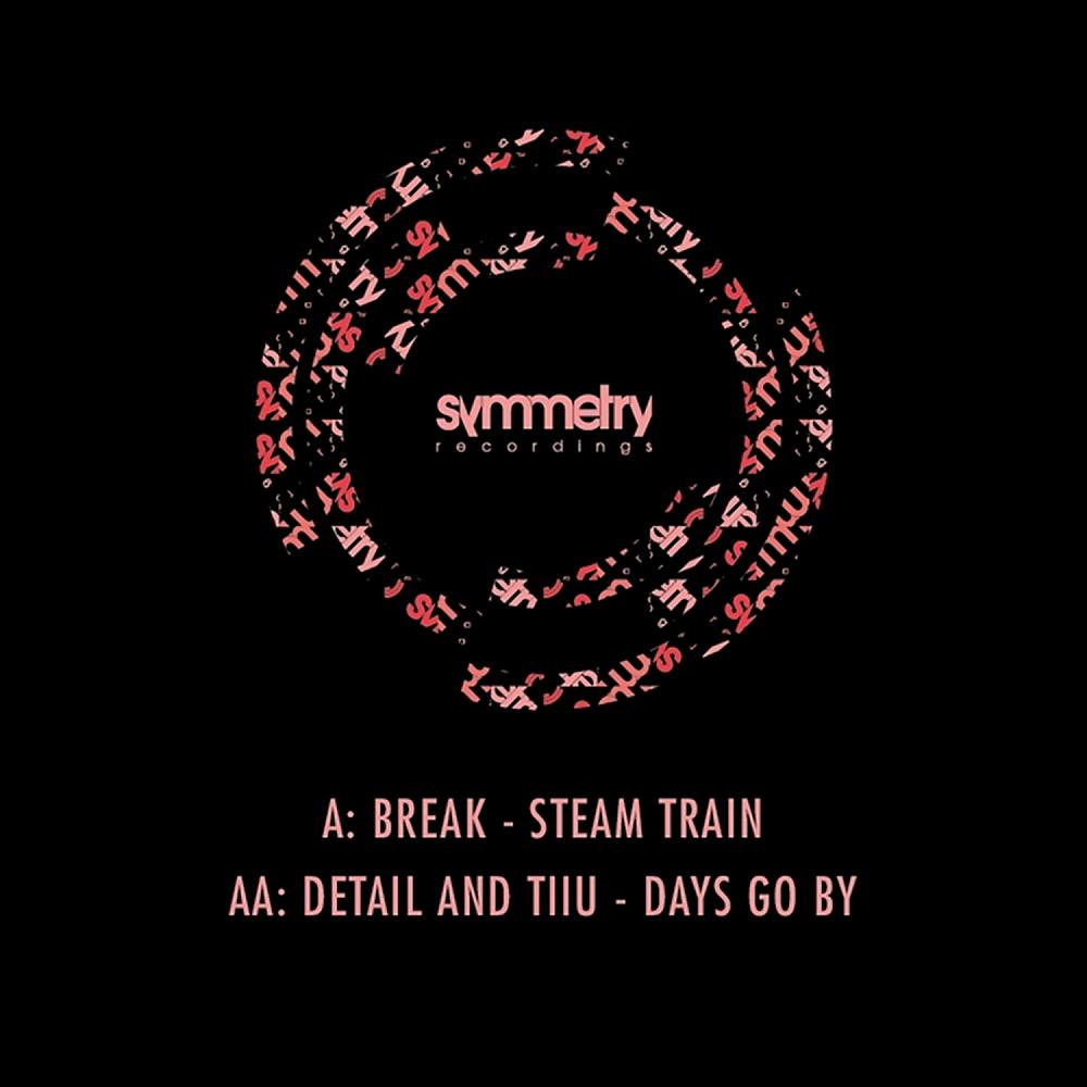 Постер альбома Steam Train / Days Go By