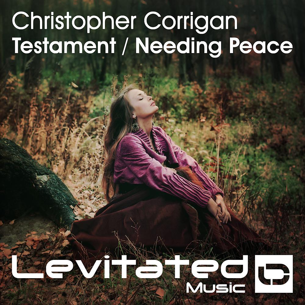 Постер альбома Testament / Needing Peace
