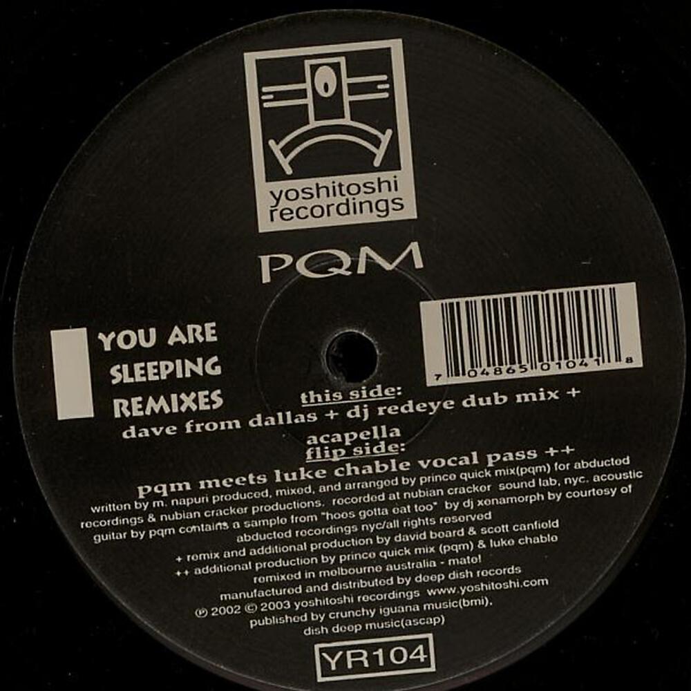 PQM - You Are Sleeping (Luke Chable Remix)